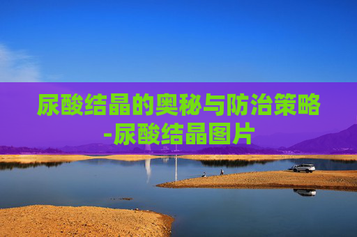 尿酸结晶的奥秘与防治策略-尿酸结晶图片