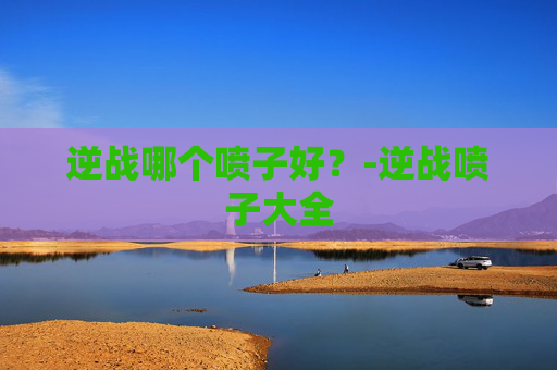 逆战哪个喷子好？-逆战喷子大全