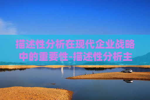 描述性分析在现代企业战略中的重要性-描述性分析主要是