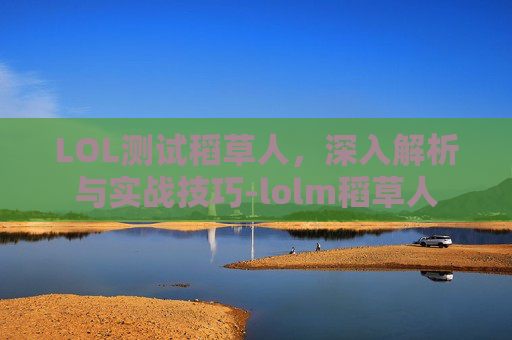 LOL测试稻草人，深入解析与实战技巧-lolm稻草人