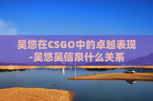 吴悠在CSGO中的卓越表现-吴悠吴信泉什么关系