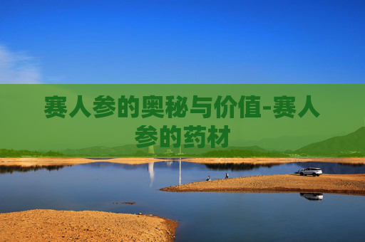 赛人参的奥秘与价值-赛人参的药材