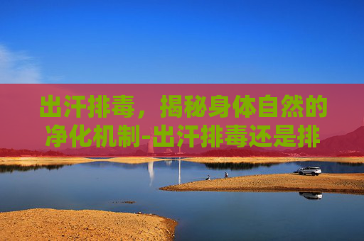 出汗排毒，揭秘身体自然的净化机制-出汗排毒还是排湿