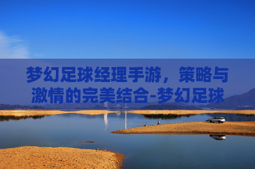 梦幻足球经理手游，策略与激情的完美结合-梦幻足球经理手游下载