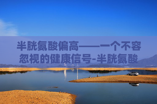 半胱氨酸偏高——一个不容忽视的健康信号-半胱氨酸偏高是怎么回事