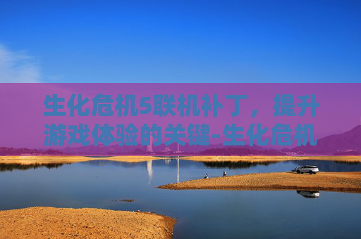 生化危机5联机补丁，提升游戏体验的关键-生化危机5联机补丁怎么安装