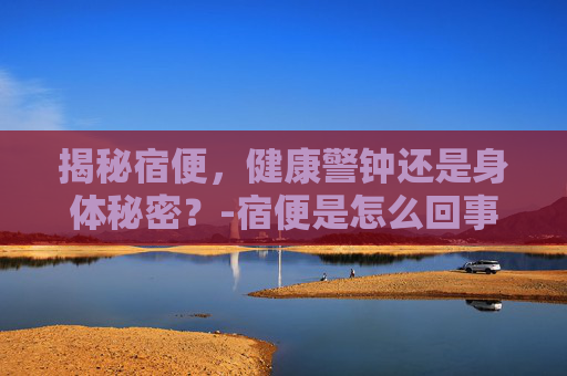揭秘宿便，健康警钟还是身体秘密？-宿便是怎么回事