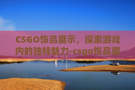 CSGO饰品展示，探索游戏内的独特魅力-csgo饰品展示