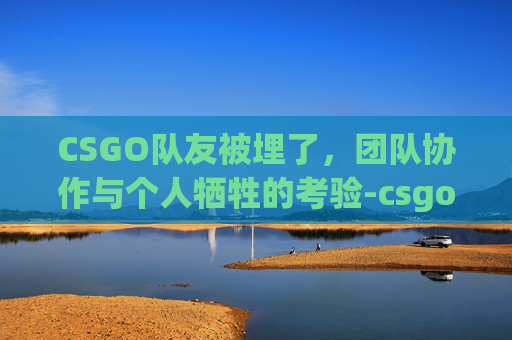 CSGO队友被埋了，团队协作与个人牺牲的考验-csgo伤害队友被t