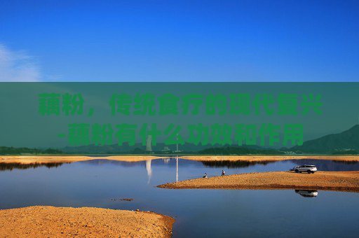 藕粉，传统食疗的现代复兴-藕粉有什么功效和作用