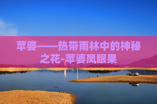 苹婆——热带雨林中的神秘之花-苹婆凤眼果