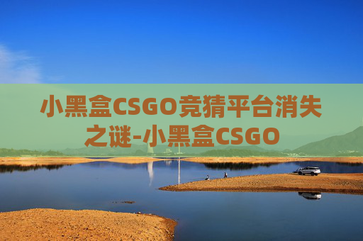 小黑盒CSGO竞猜平台消失之谜-小黑盒CSGO