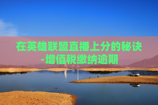 在英雄联盟直播上分的秘诀-增值税缴纳逾期