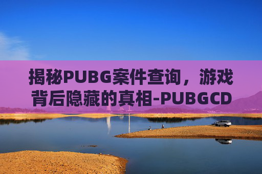 揭秘PUBG案件查询，游戏背后隐藏的真相-PUBGCDK查询网站
