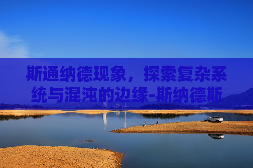 斯通纳德现象，探索复杂系统与混沌的边缘-斯纳德斯坦纳