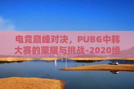 电竞巅峰对决，PUBG中韩大赛的荣耀与挑战-2020绝地求生中韩对抗赛