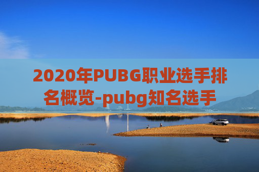 2020年PUBG职业选手排名概览-pubg知名选手