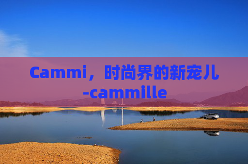 Cammi，时尚界的新宠儿-cammille