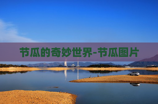 节瓜的奇妙世界-节瓜图片