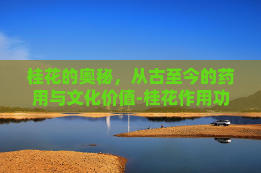桂花的奥秘，从古至今的药用与文化价值-桂花作用功效是什么