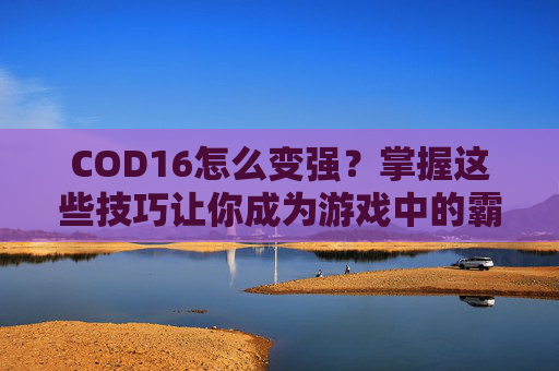 COD16怎么变强？掌握这些技巧让你成为游戏中的霸主！-cod16怎么样