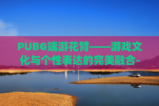 PUBG端游花臂——游戏文化与个性表达的完美融合-pubg花臂上衣