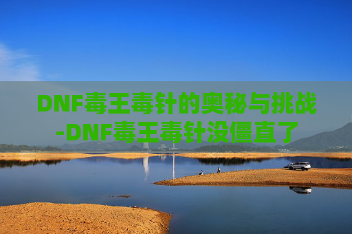DNF毒王毒针的奥秘与挑战-DNF毒王毒针没僵直了