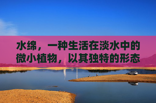 水绵，一种生活在淡水中的微小植物，以其独特的形态和生存方式吸引了无数生物学家和自然爱好者的关注。这种植物不仅在自然界中扮演着重要的角色，而且在科学研究、环境保护和生态平衡方面也具有不可忽视的价值。-水绵是什么植物吗