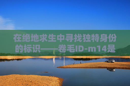 在绝地求生中寻找独特身份的标识——卷毛ID-m14是标准件螺栓吗
