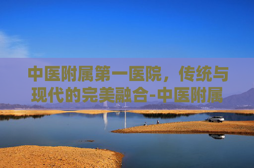 中医附属第一医院，传统与现代的完美融合-中医附属第一医院林培政简介
