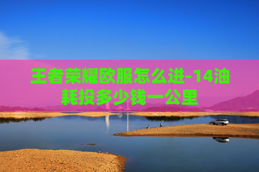 王者荣耀欧服怎么进-14油耗投多少钱一公里