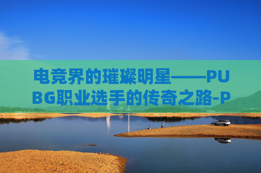 电竞界的璀璨明星——PUBG职业选手的传奇之路-PUBG职业选手大全