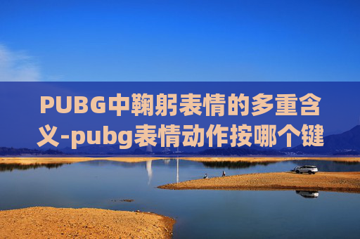 PUBG中鞠躬表情的多重含义-pubg表情动作按哪个键