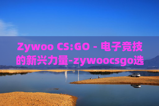Zywoo CS:GO - 电子竞技的新兴力量-zywoocsgo选手百度百科