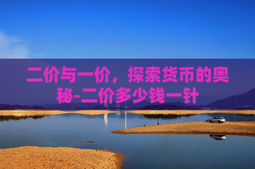 二价与一价，探索货币的奥秘-二价多少钱一针