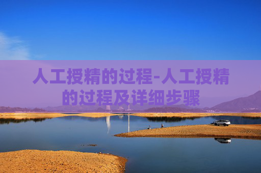 人工授精的过程-人工授精的过程及详细步骤