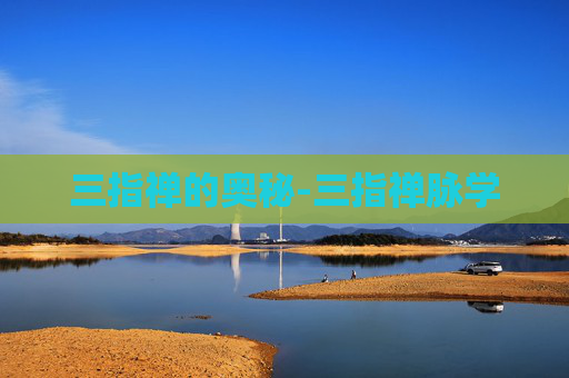 三指禅的奥秘-三指禅脉学