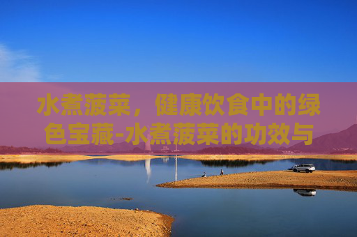 水煮菠菜，健康饮食中的绿色宝藏-水煮菠菜的功效与营养