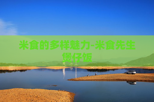 米食的多样魅力-米食先生煲仔饭