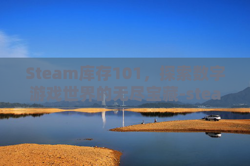 Steam库存101，探索数字游戏世界的无尽宝藏-steam 库存存储组件多少钱一个