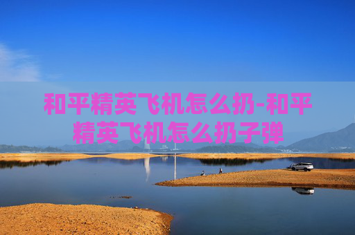和平精英飞机怎么扔-和平精英飞机怎么扔子弹
