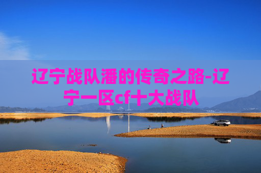 辽宁战队潘的传奇之路-辽宁一区cf十大战队