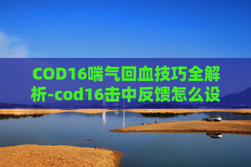 COD16喘气回血技巧全解析-cod16击中反馈怎么设置