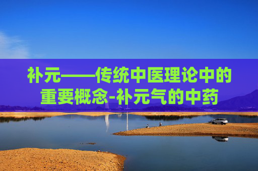 补元——传统中医理论中的重要概念-补元气的中药