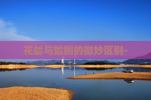 花蛤与蛤蜊的微妙区别-