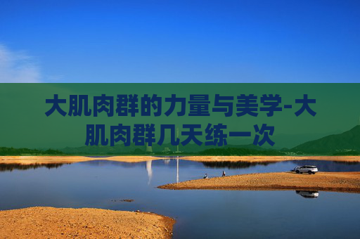 大肌肉群的力量与美学-大肌肉群几天练一次