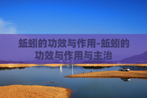 蚯蚓的功效与作用-蚯蚓的功效与作用与主治