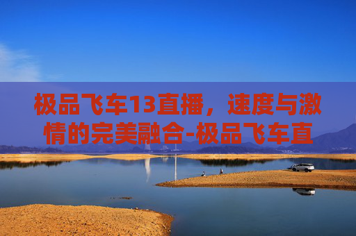 极品飞车13直播，速度与激情的完美融合-极品飞车直播间
