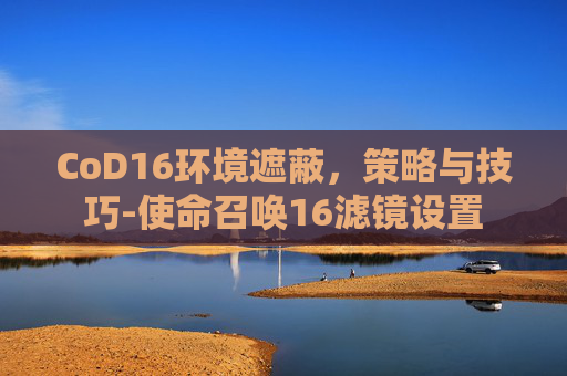 CoD16环境遮蔽，策略与技巧-使命召唤16滤镜设置