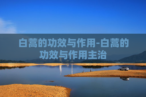 白蒿的功效与作用-白蒿的功效与作用主治